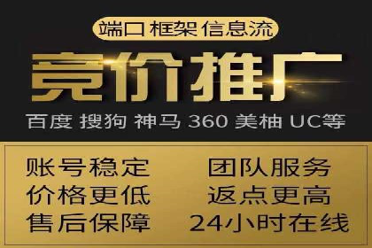 百度推广中SEO优化的成功案例分析